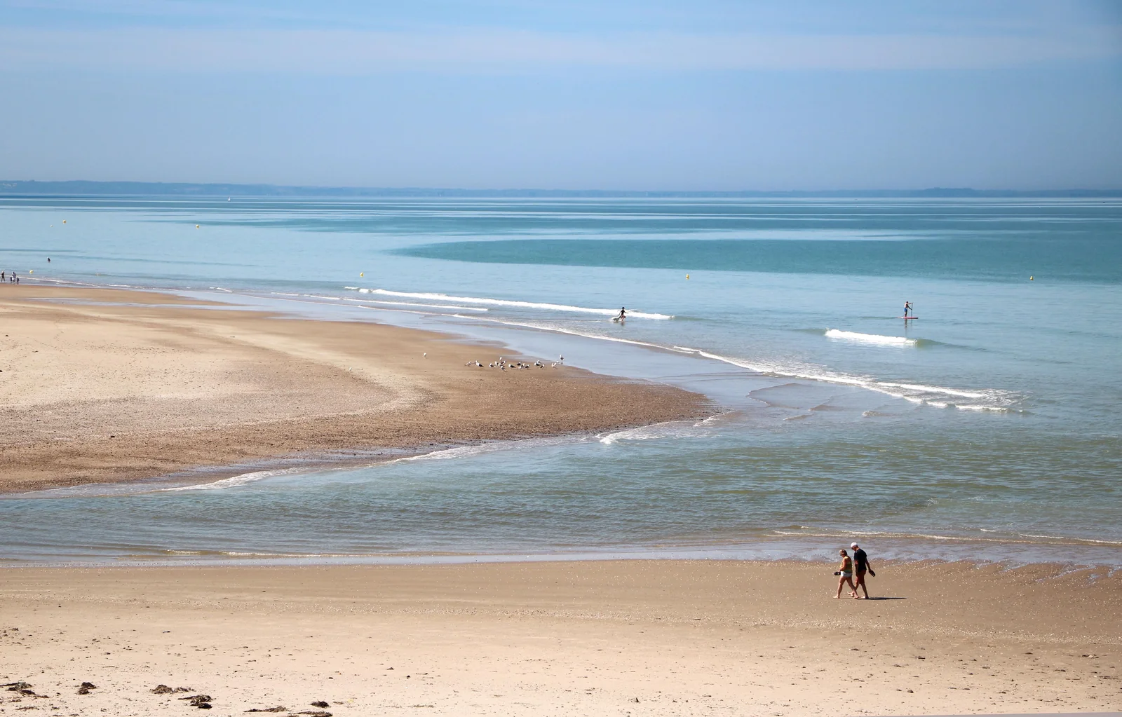 Course commentée le long de la côte