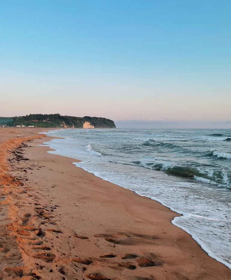 Marche commentée sur le littoral